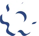 Settings Icon